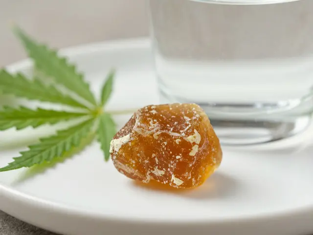 Co se stane, když sníte 200 mg CBD? Účinky, rizika a tipy pro začátečníky