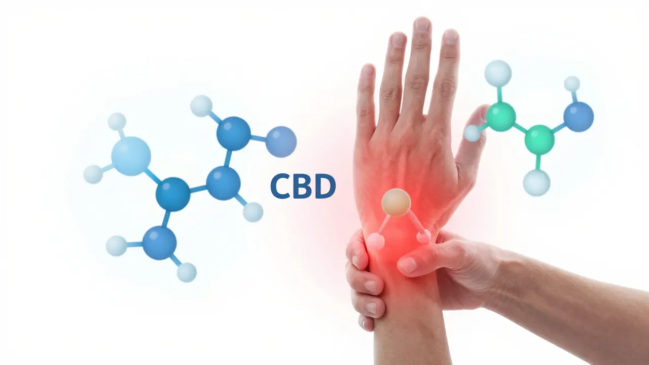 Ilustrace CBD molekul tlumících zánět v kloubu